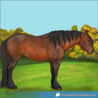 Horse Color:Brown 