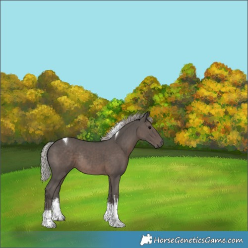 Horse Color:White Spotted Silver Black Tobiano Rabicano 