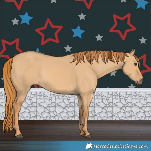 Horse Color:Red Dun 