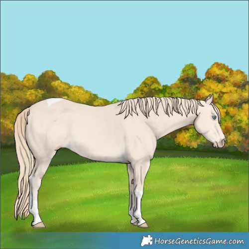 Horse Color:Perlino Tobiano 