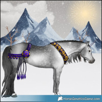 Horse Color:Gray Black 