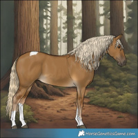 Horse Color:Chocolate Palomino Dun Tobiano 