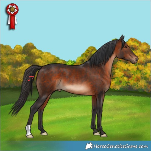 Horse Color:Brown 