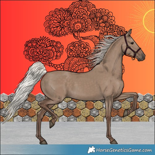 Horse Color:Silver Grullo 