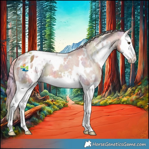 Horse Color:Nacre White Spotted Chestnut Splash Varnish 