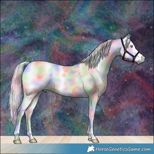 Horse Color:Nacre Silver Smoky Grullo Harlequin Merle