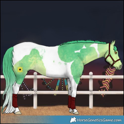 Horse Color:Watercolor Buckskin Tobiano 