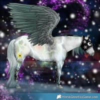 Horse Color:Gray Watercolor Bay Tobiano 