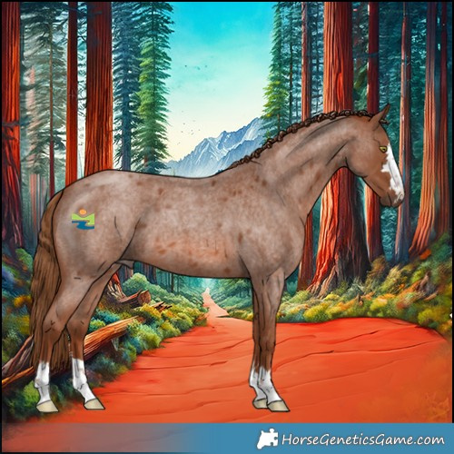 Horse Color:Red Roan 
