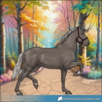 Horse Color:Silver Black 