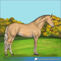 Horse Color:Palomino Dun 