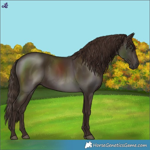 Horse Color:Liver Chestnut