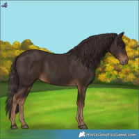 Horse Color:Liver Chestnut