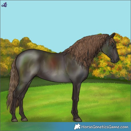 Horse Color:Liver Chestnut 