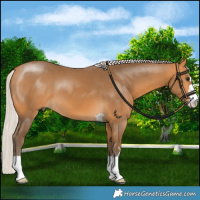 Horse Color:Silver Buckskin 