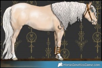 Horse Color:Chocolate Silver Buckskin Pearl 