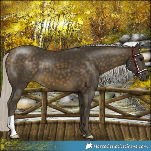 Horse Color:Silver Buckskin 