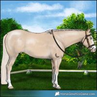 Horse Color:Cremello 