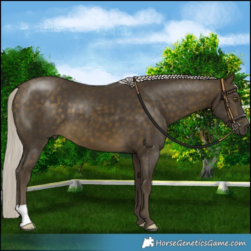 Horse Color:Silver Buckskin 