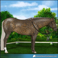 Horse Color:Silver Buckskin 
