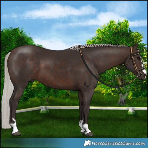 Horse Color:Silver Brown 
