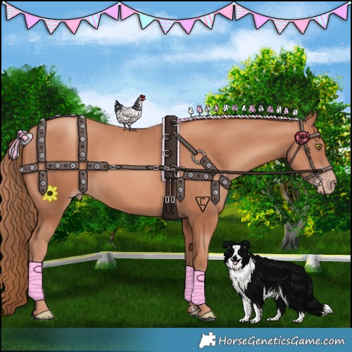 Horse Color:Gold Champagne 