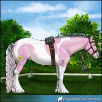 Horse Color:Watercolor Palomino Dun Tobiano
