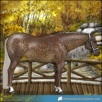Horse Color:Chocolate Silver Buckskin 