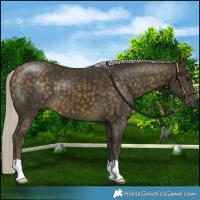 Horse Color:Silver Buckskin 