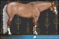 Horse Color:Chocolate Silver Bay Dun 