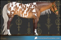 Horse Color:Chocolate Silver Buckskin Blanket