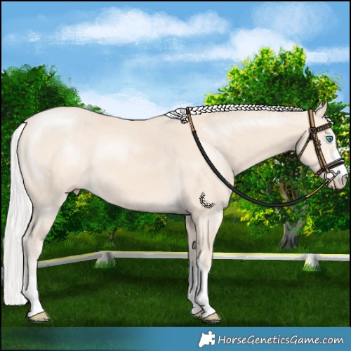 Horse Color:Silver Perlino 