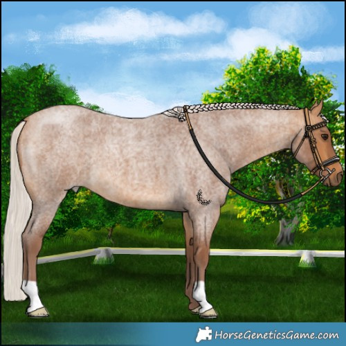 Horse Color:Chocolate Silver Buckskin Roan 