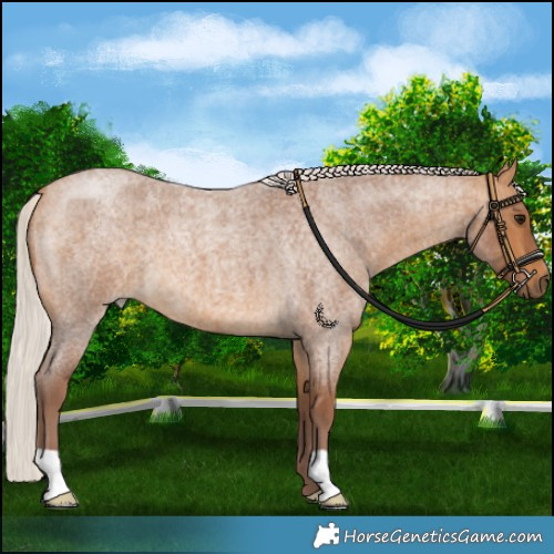 Horse Color:Chocolate Silver Buckskin Roan