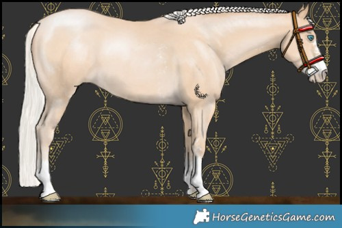 Horse Color:Chocolate Silver Buckskin Pearl Sabino 