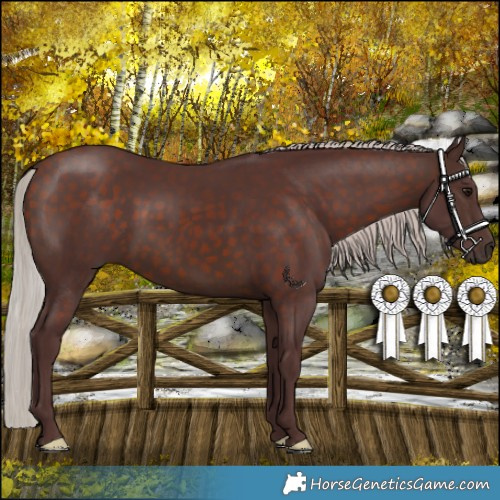 Horse Color:Chocolate Silver Bay 