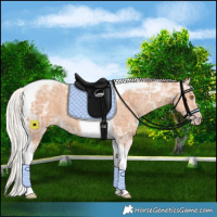 Horse Color:Silver Classic Champagne Ice Tobiano 