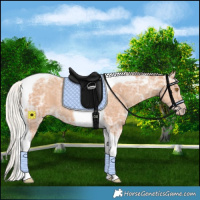 Horse Color:Silver Classic Champagne Ice Tobiano