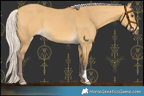 Horse Color:Chocolate Silver Buckskin Dun 