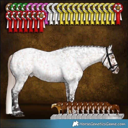 Horse Color:Liver Red Dun Roan Sabino Appaloosa Rabicano Brindle