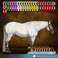 Horse Color:Liver Red Dun Roan Sabino Appaloosa Rabicano Brindle 