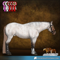 Horse Color:Liver Red Dun Roan Sabino Appaloosa Rabicano Brindle 