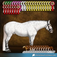 Horse Color:Liver Red Dun Roan Sabino Appaloosa Rabicano Brindle 