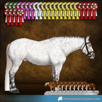 Horse Color:Liver Red Dun Roan Sabino Appaloosa Rabicano Brindle 