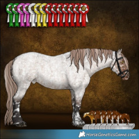 Horse Color:Liver Red Dun Roan Sabino Appaloosa Rabicano Brindle 