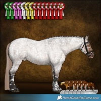 Horse Color:Liver Red Dun Roan Sabino Appaloosa Rabicano Brindle 