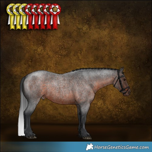 Horse Color:Brown Roan 