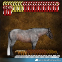 Horse Color:Brown Roan 