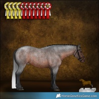 Horse Color:Brown Roan