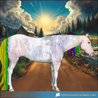 Horse Color:Painted Buckskin Ice Dun Tobiano 